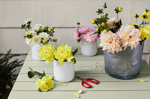 Paint Store «Enfield Paint», reviews and photos, 401 Enfield St, Enfield, CT 06082, USA