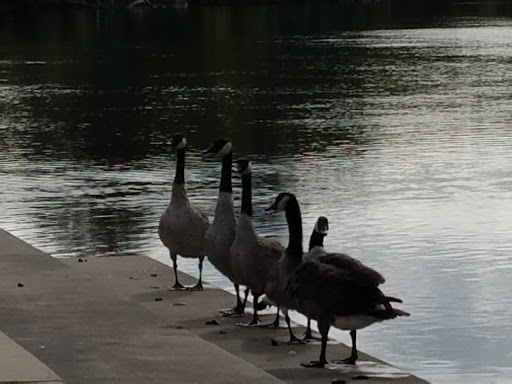 Park «Boom Island Park», reviews and photos, 724 Sibley St NE, Minneapolis, MN 55413, USA