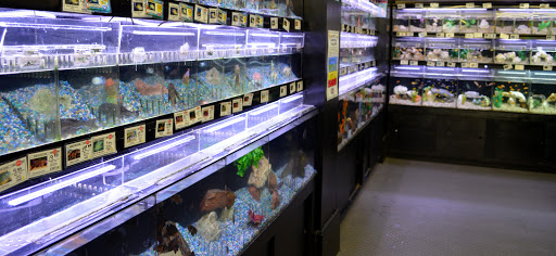 Pet Store «B & B Pet Stop, Inc.», reviews and photos, 5035 Cottage Hill Rd, Mobile, AL 36609, USA