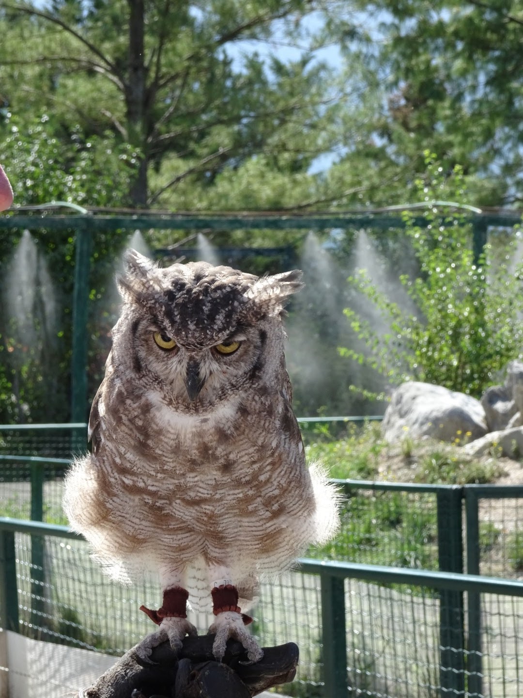 Photo n° 21 de l'avis de Romain.o fait le 17/08/2017 à 11:56