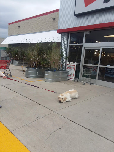Home Improvement Store «Tractor Supply Co.», reviews and photos, 1341 S Main Ave #380, Scranton, PA 18504, USA