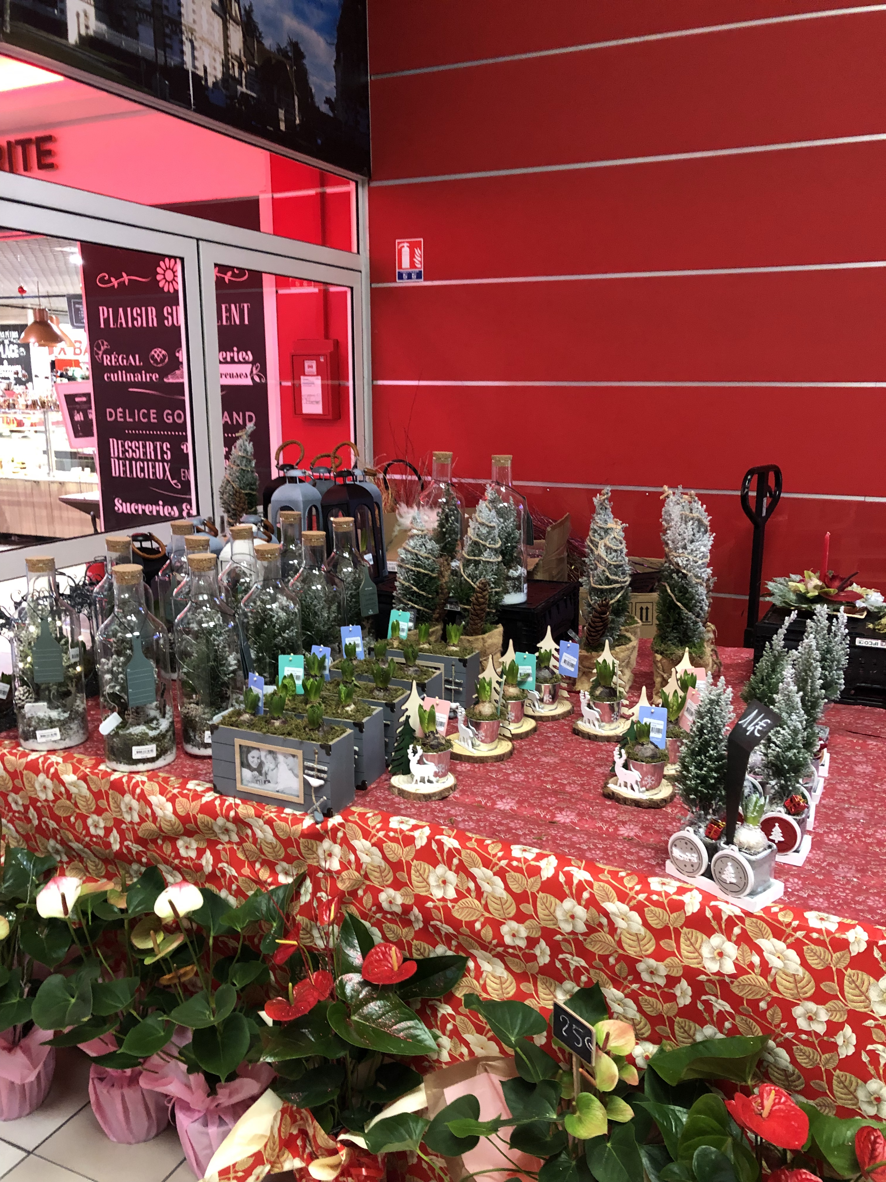 Photo n° 3 de l'avis de Olivier.E fait le 23/12/2022 à 18:42