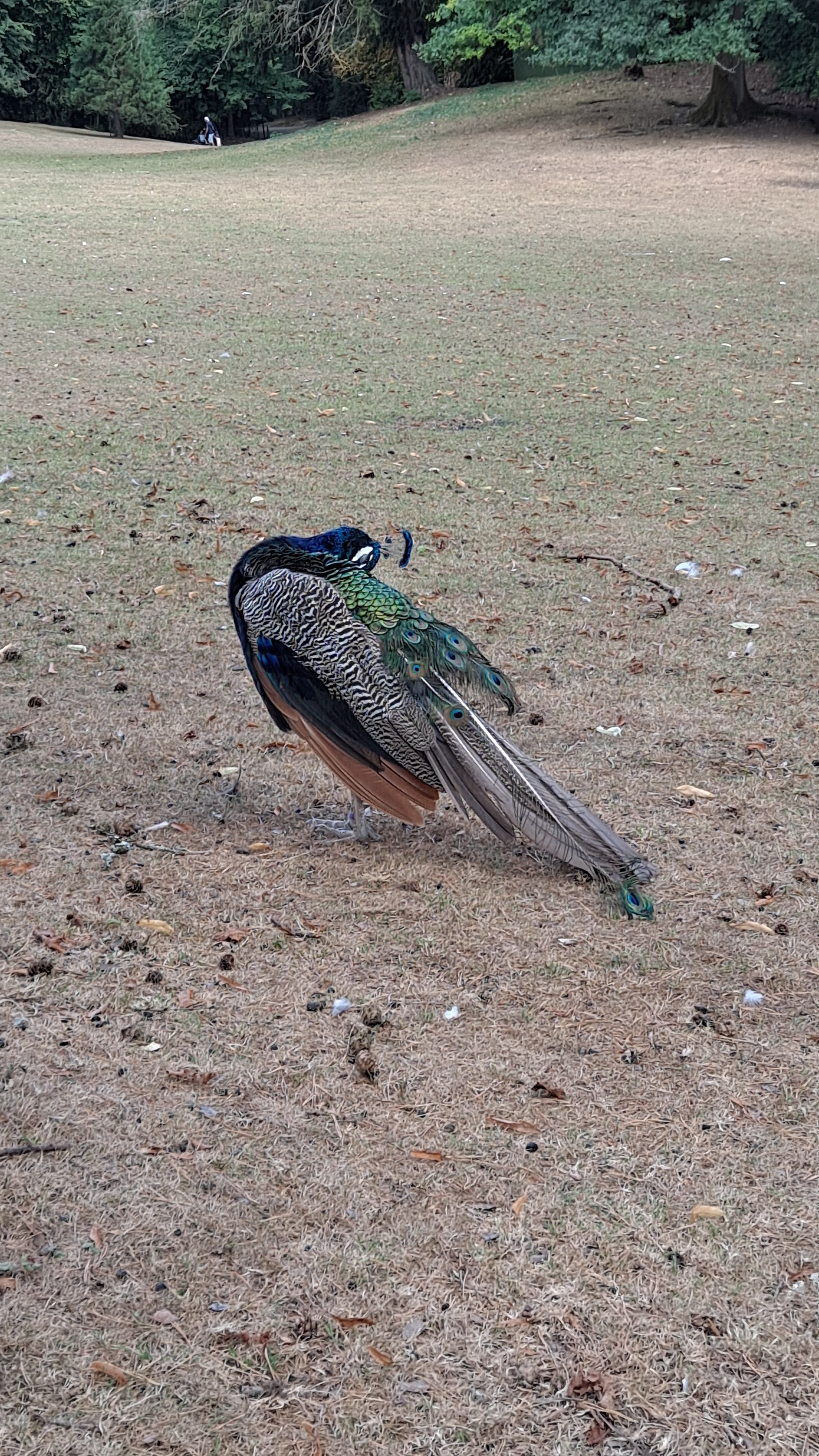 Photo n° 2 de l'avis de ///.u fait le 05/05/2023 à 16:25