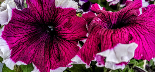 Department Store «Walmart Supercenter», reviews and photos, 3034 Rhea County Hwy, Dayton, TN 37321, USA