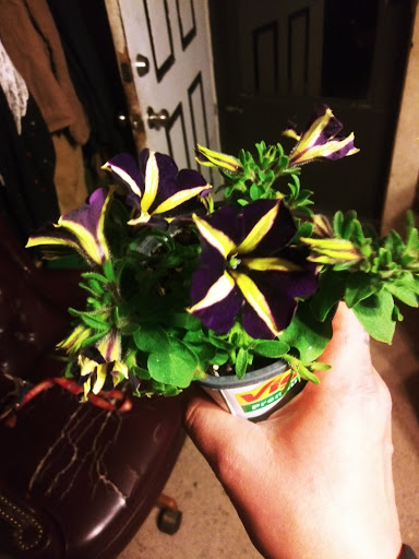 Home Improvement Store «The Home Depot», reviews and photos, 1306 E North Ave, Belton, MO 64012, USA