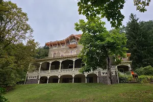 Asa Packer Mansion Museum image