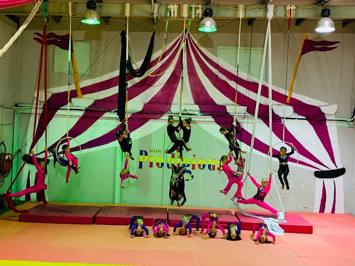 Sharm Circus School Dubai