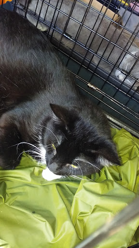 Pet Store «Fussy Friends Pet Supplies», reviews and photos, 148 Newark Ave, Jersey City, NJ 07302, USA