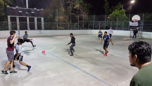 Park «Northeast Park and Paw Place», reviews and photos, 4630 E Bay Dr, Clearwater, FL 33764, USA