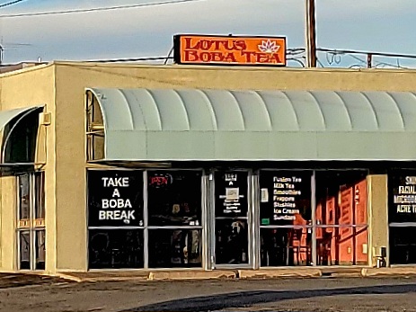 Lotus Boba Tea 88310