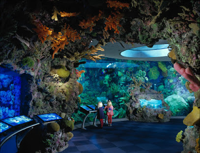 Shedd Aquarium Store
