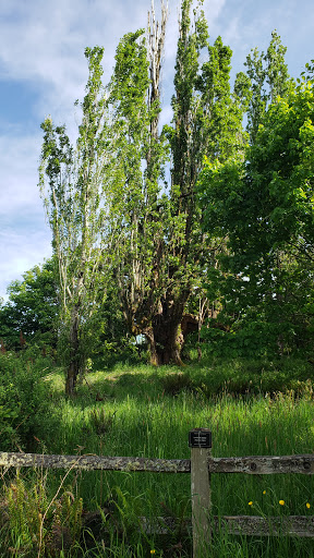 Park «Powell Butte Nature Park», reviews and photos, 16160 SE Powell Blvd, Portland, OR 97236, USA