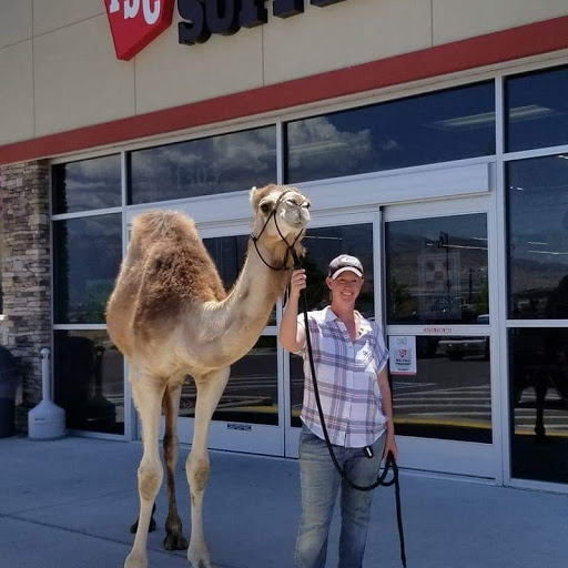 Home Improvement Store «Tractor Supply Co.», reviews and photos, 1303 North Exchange Dr, Saratoga Springs, UT 84045, USA