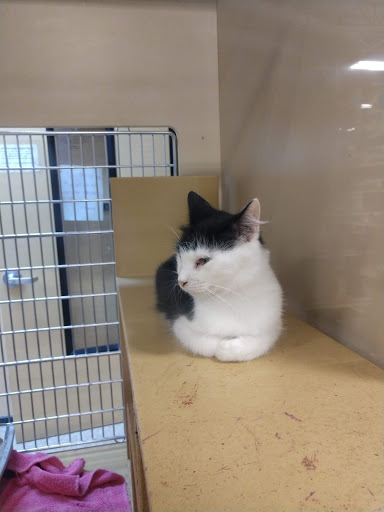 Pet Supply Store «PetSmart», reviews and photos, 2718 Legends Pkwy, Prattville, AL 36066, USA