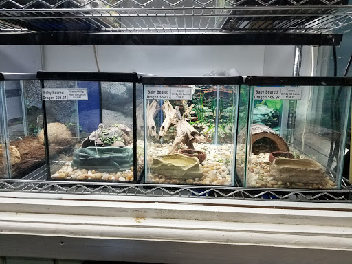 Shopping Mall «Airport Mall», reviews and photos, 1129 Union St, Bangor, ME 04401, USA