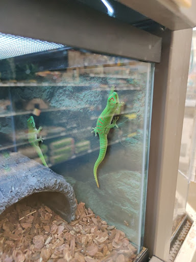 Pet Supply Store «Petco Animal Supplies», reviews and photos, 2640 W University Dr #1280, Denton, TX 76201, USA