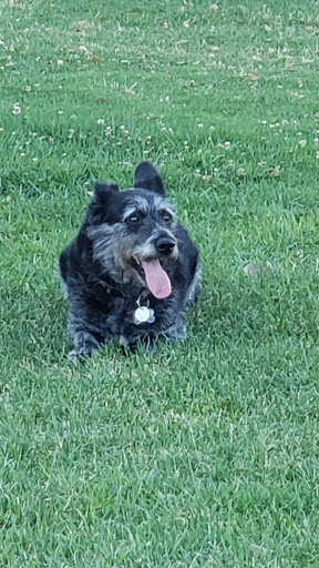 Community Center «Rancho Santa Susana Community Center», reviews and photos, 5005 E Los Angeles Ave, Simi Valley, CA 93063, USA