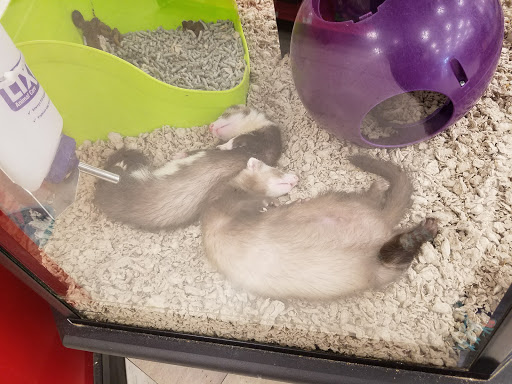 Pet Supply Store «Petco Animal Supplies», reviews and photos, 394 Cox Creek Pkwy, Florence, AL 35630, USA