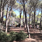 Photo n°2 de l'avis de Luca.e fait le 23/09/2021 à 11:13 sur le  I Mille Bar Paninoteca à La Maddalena