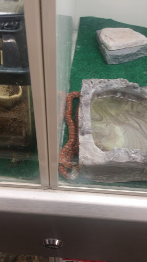 Pet Supply Store «Pet Supplies Plus», reviews and photos, 209 Towne Dr, Elizabethtown, KY 42701, USA