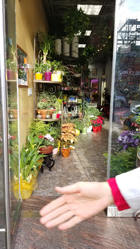 Florist «Ditmars Flower Shop», reviews and photos, 2911 Ditmars Blvd, Queens, NY 11105, USA