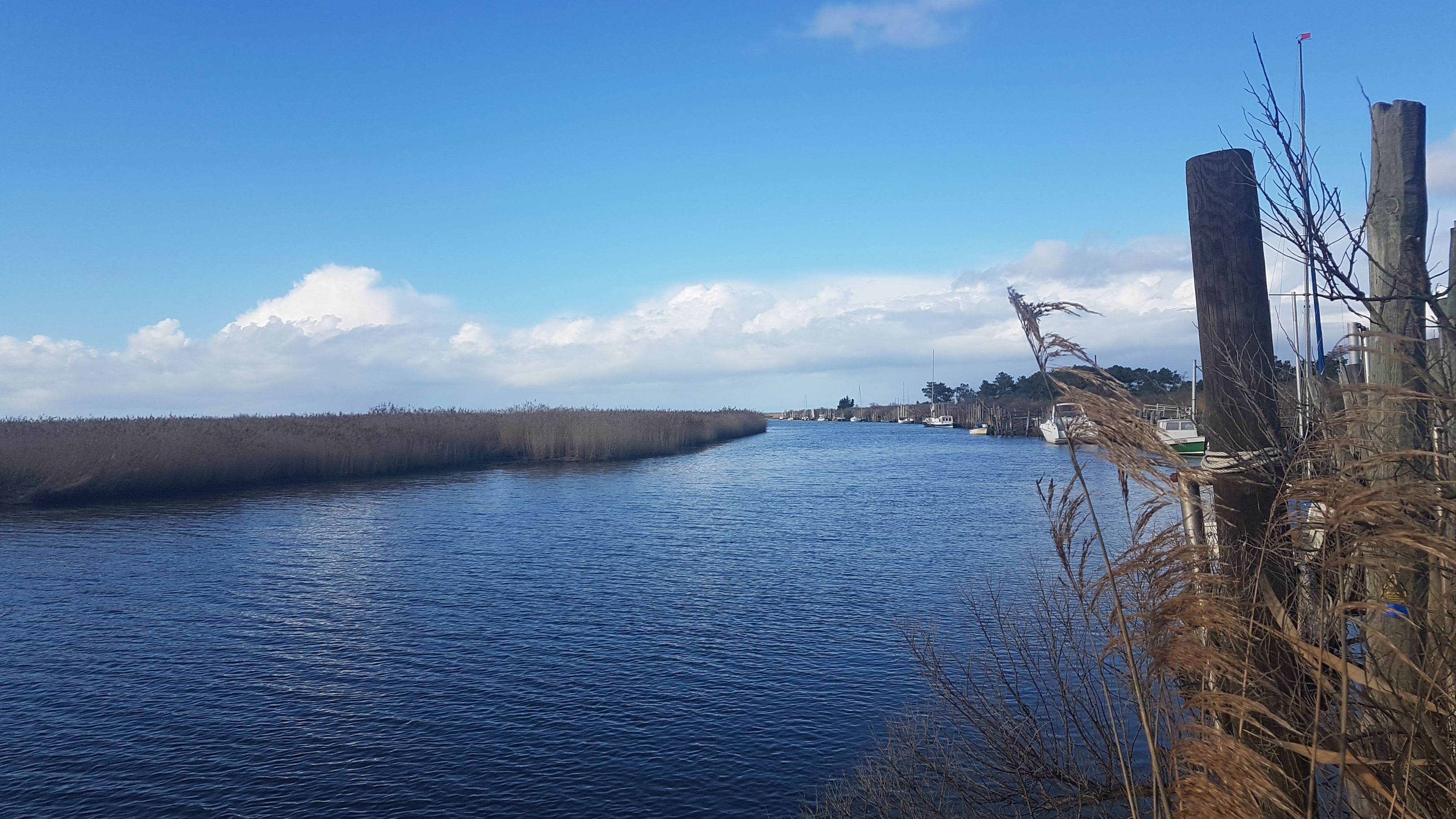 Photo n° 6 de l'avis de Elisabeth.o fait le 17/01/2019 à 18:17