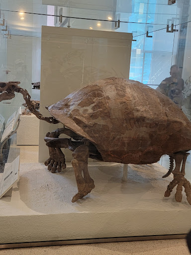 Shopping Mall «Dartmouth Mall», reviews and photos, 200 N Dartmouth Mall, Dartmouth, MA 02747, USA