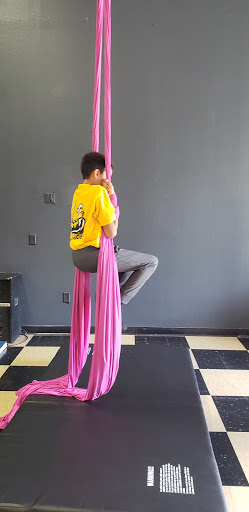 Dance School «Dance and Circus Arts of Tampa Bay», reviews and photos, 1490 N Belcher Rd, Clearwater, FL 33765, USA