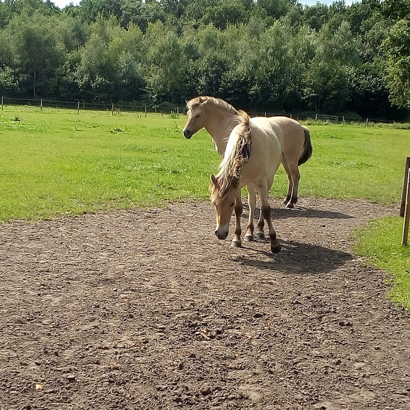 Stichting Abrona