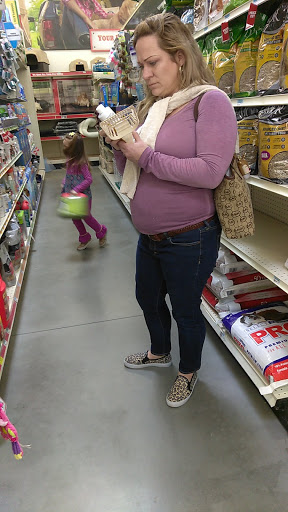 Home Improvement Store «Tractor Supply Co.», reviews and photos, 5359 W US Hwy 90, Lake City, FL 32055, USA