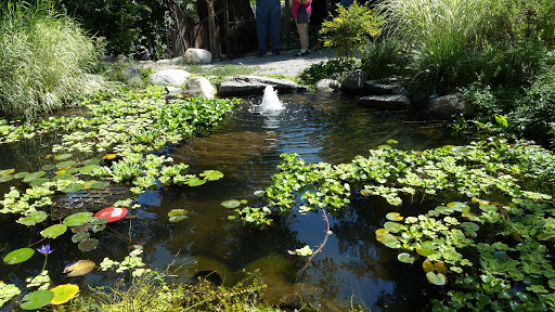 Garden «Sierra Water Gardens», reviews and photos, 2110 Dickerson Rd, Reno, NV 89503, USA
