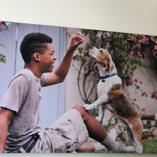 Pet Supply Store «Petco Animal Supplies», reviews and photos, 3452 W Chandler Blvd, Chandler, AZ 85226, USA