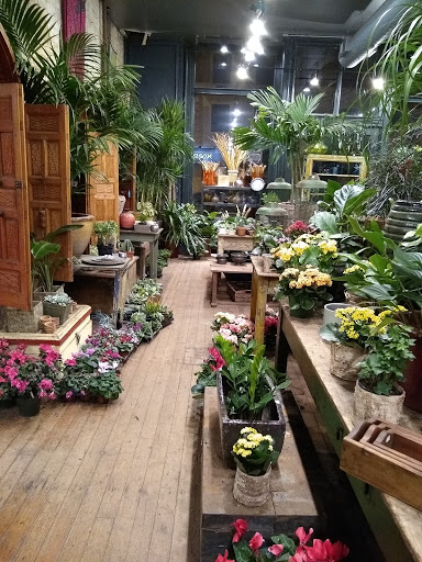 Florist «A New Leaf», reviews and photos, 1645 N Wells St, Chicago, IL 60614, USA