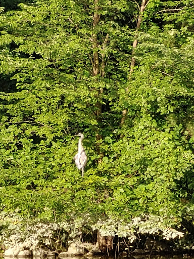 Public Golf Course «Dearborn Hills Golf Course», reviews and photos, 1300 S Telegraph Rd, Dearborn, MI 48124, USA