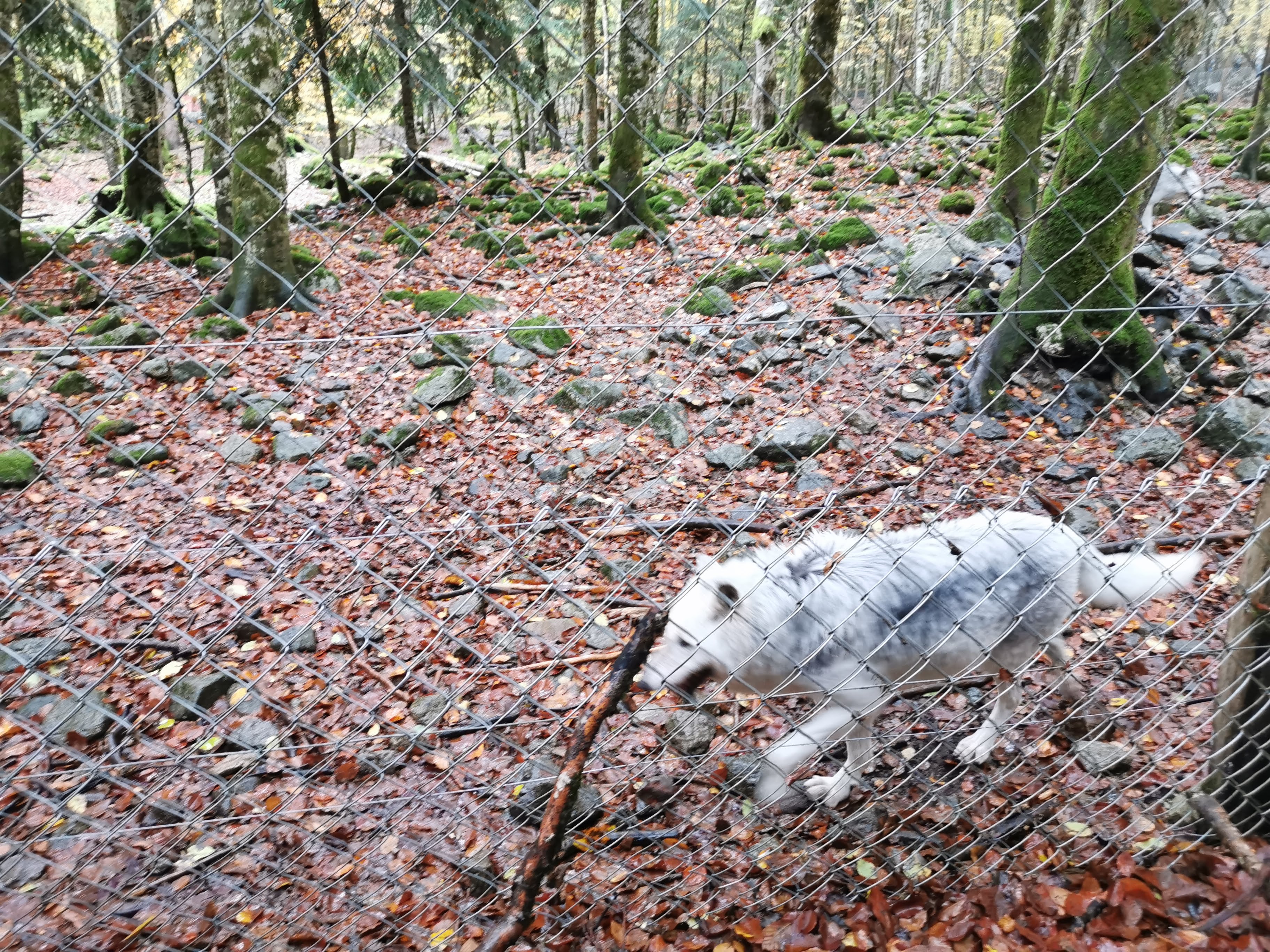 Photo n° 6 de l'avis de sandrine.e fait le 17/11/2019 à 11:04