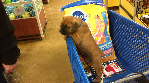 Pet Supply Store «PetSmart», reviews and photos, 3500 IN-38, Lafayette, IN 47905, USA