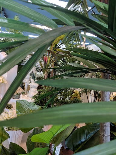 Florist «Flower City Florist», reviews and photos, 917 N Federal Hwy, Fort Lauderdale, FL 33304, USA