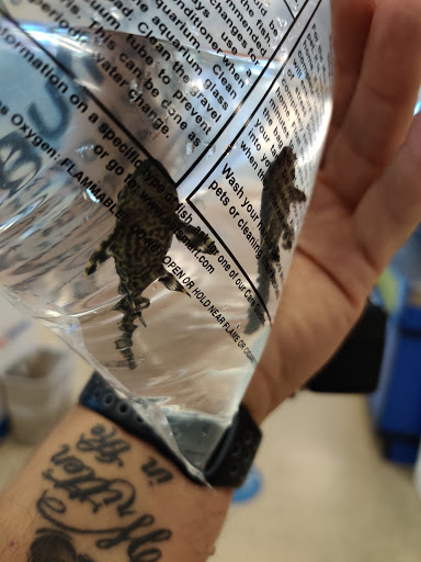 Pet Supply Store «PetSmart», reviews and photos, 2347 N Telegraph Rd, Monroe, MI 48162, USA