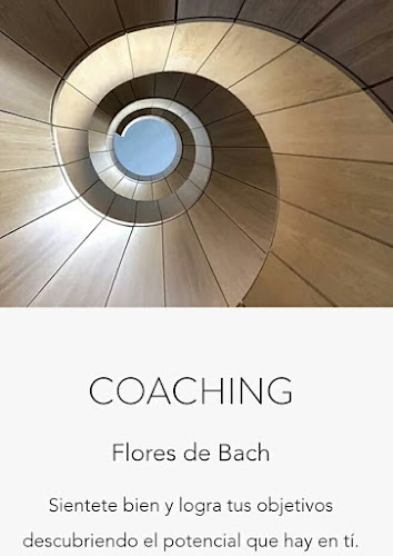 Coaching - Flores de Bach - Montevideo