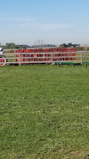 Orchard «Tuttle Orchards», reviews and photos, 5717 N 300 W, Greenfield, IN 46140, USA