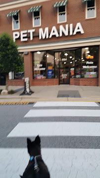 Pet Mania - Photo 7 - Car repair in Wake Forest, NC, Raleigh