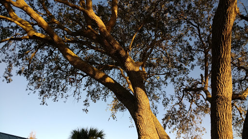 Campground «Savannas Recreation Area», reviews and photos, 1400 E Midway Rd, Fort Pierce, FL 34982, USA