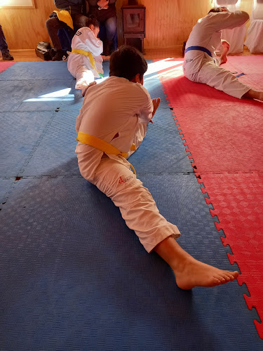 taekwondo Coronel - Escuela