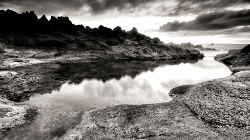 Used Car Dealer «CarMax», reviews and photos, 11880 I-35, San Antonio, TX 78239, USA