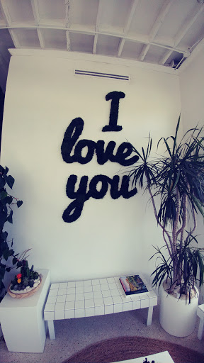 Interior Plant Service «Plant The Future, Inc.», reviews and photos, 2511 NW 2nd Ave, Miami, FL 33127, USA