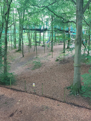 Comments and reviews of Treetop Manchester - Treetop Trek & Treetop Nets