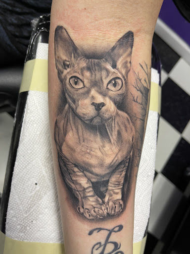 Explore snail tattoo ideas, creative tattoo ideas in Fenton, available at Think Ink Tattoo Co