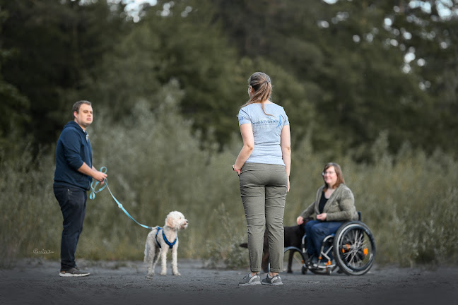 Sam&Friends, Hundetraining mit Herz und Verstand