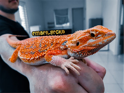 煜熠恒炎 Ember Gecko