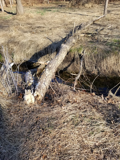 Park «Meadowbrook Park», reviews and photos, 5001 Meadowbrook Ln, Ellicott City, MD 21043, USA